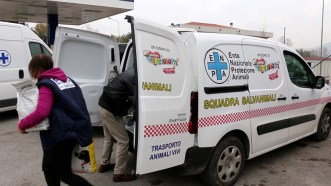 vlcsnap-2015-11-22-02h13m26s045