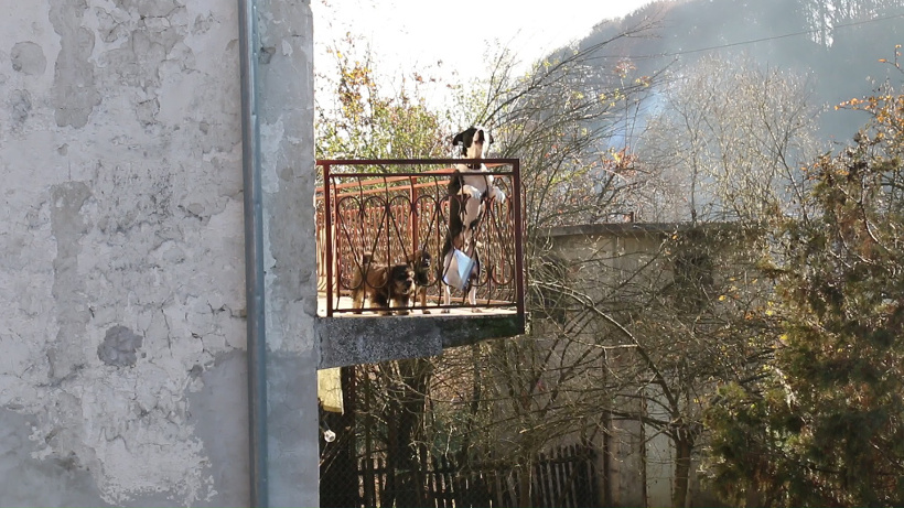 vlcsnap-2015-11-22-17h47m49s801