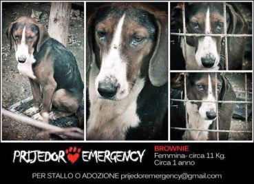 8c96adfd-87bb-4ecc-b7a1-17c768e3dafd