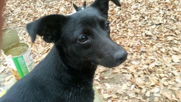 b1fae411-4b04-49d3-ad8d-18b58eecb51c